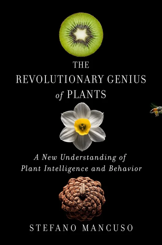 roundaboutbookstore1276997