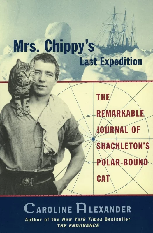 roundaboutbookstore1314637