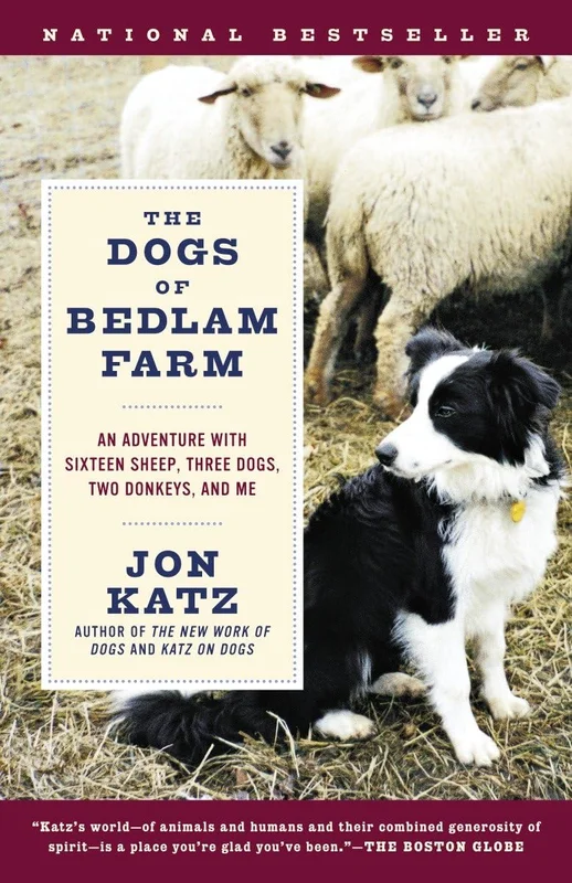 roundaboutbookstore1372306
