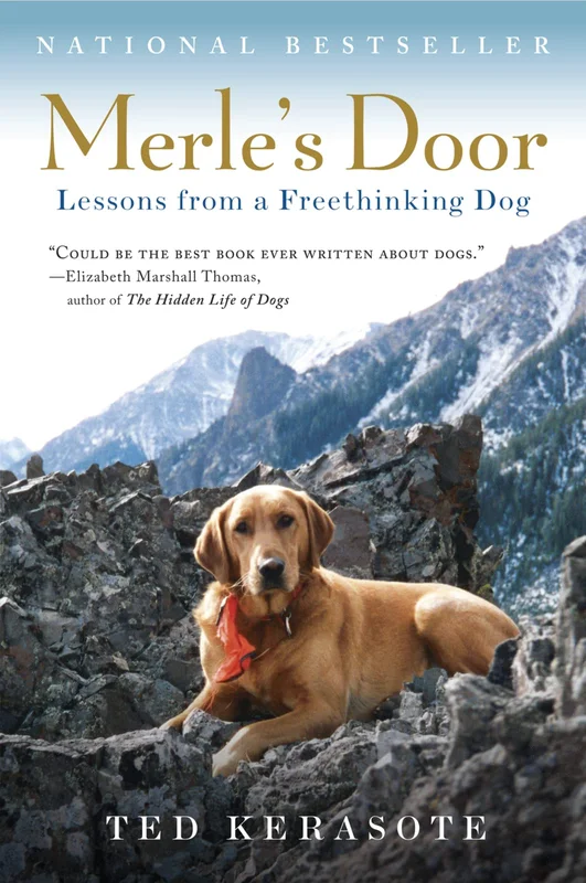 roundaboutbookstore1372324