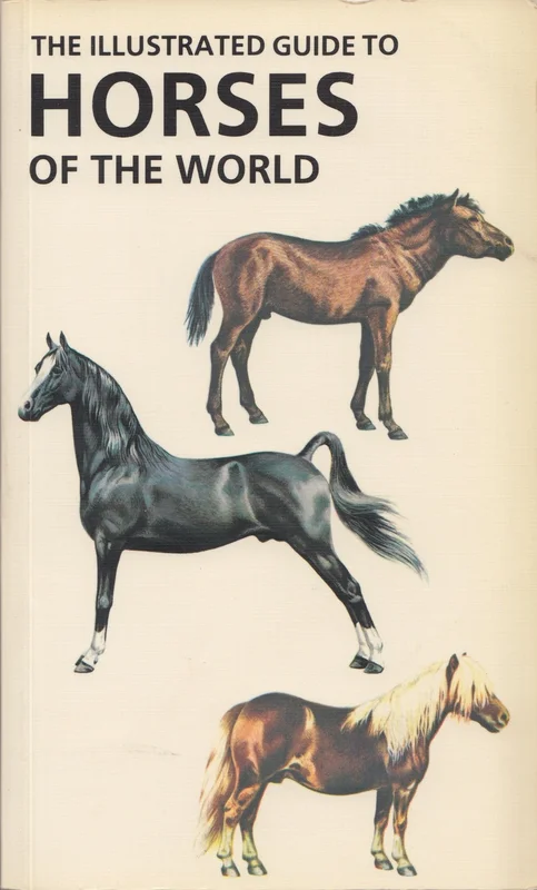 roundaboutbookstore1372604