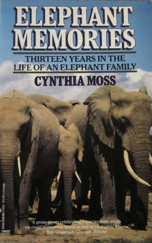 roundaboutbookstore1372663