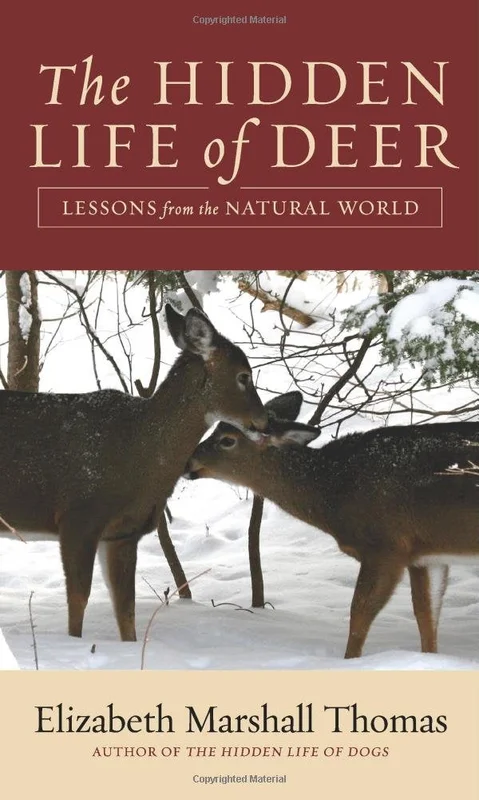 roundaboutbookstore1376233