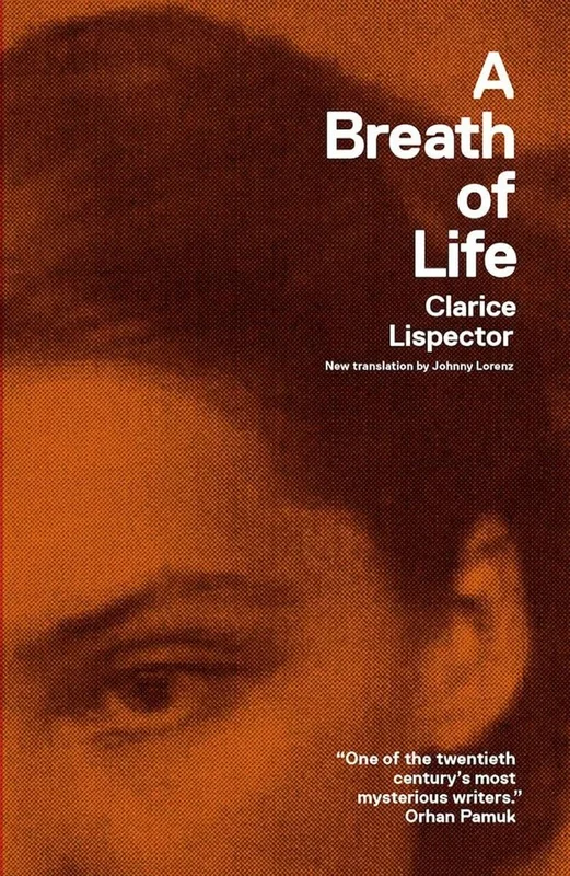 roundaboutbookstore955057