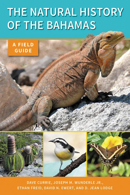 worldcaribbeanbooks-11008544