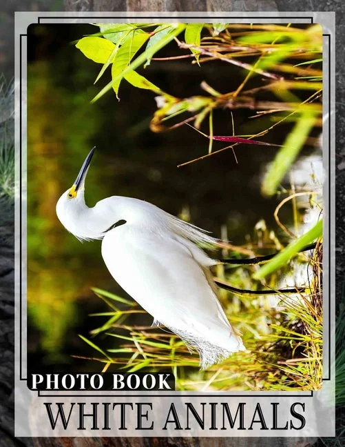 worldcaribbeanbooks1262580